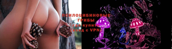 a pvp Алексеевка