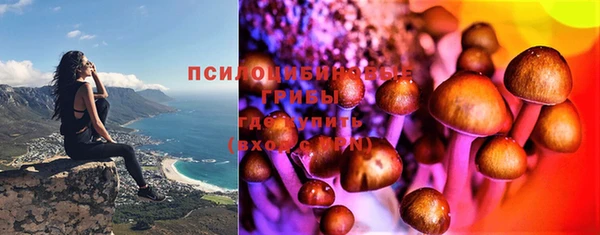 ECSTASY Алексин